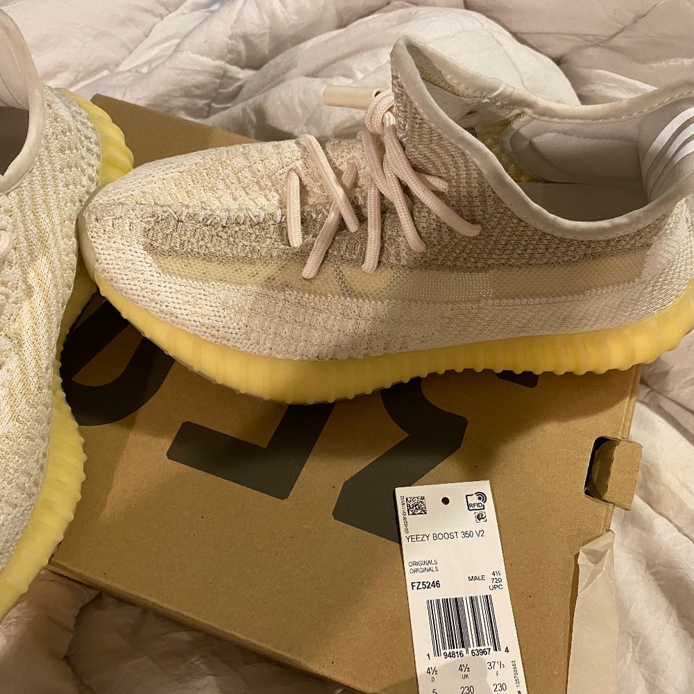Yeezy boost 350 v2